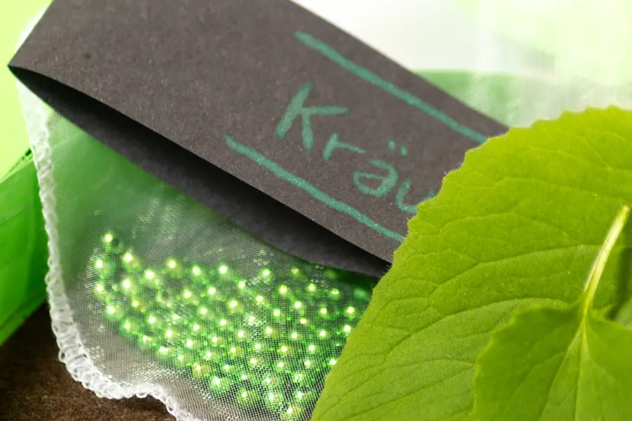 Kräuterbox – Prototyp